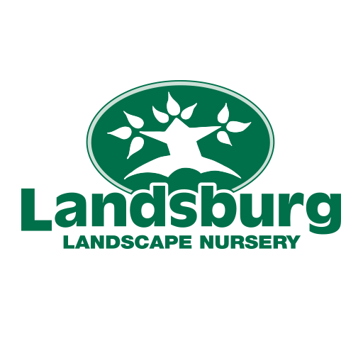 cropped-landsburg-logo-icon.png