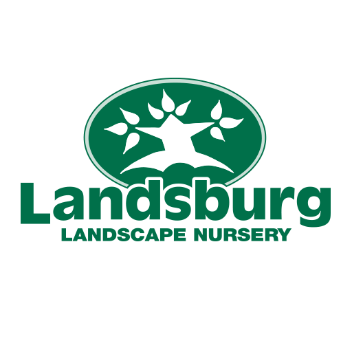 landsburg-logo-icon