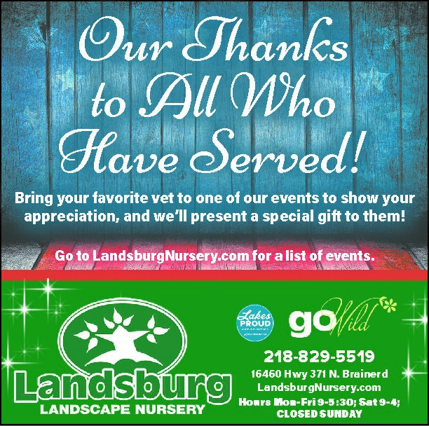 veterans day ad 2023