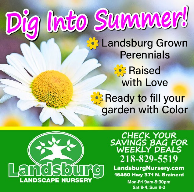 Landsburg 7.28.25