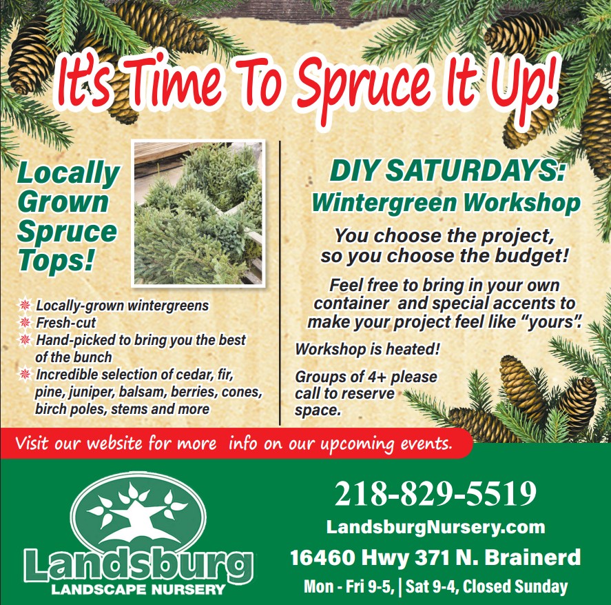 Landsburg Ad 11.12.25