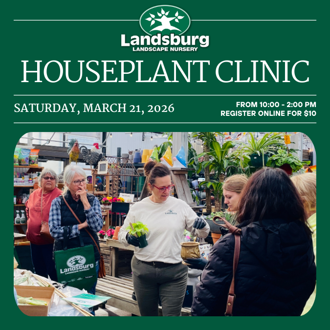 2026 - Houseplant Clinic - Shopify Listing