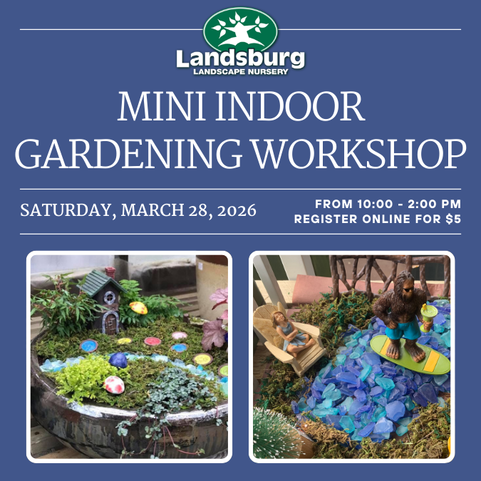 2026 - Mini Indoor Gardening Workshop - Shopify Listing