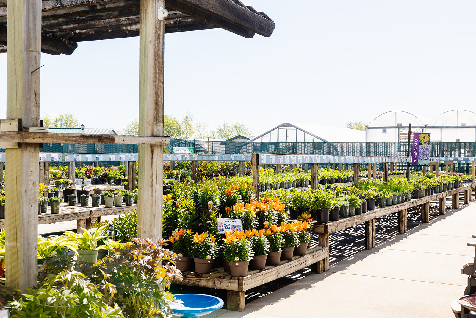 Landsburg Landscape Nursery / / 2026