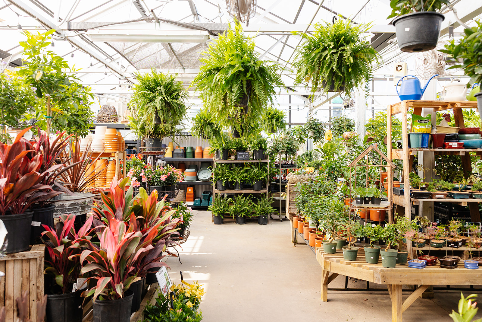 Landsburg Landscape Nursery / / 2026