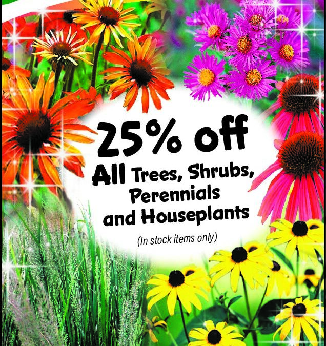 351738 – V1 – 4.966×9.930 Brainerd TV 52 Week (1)