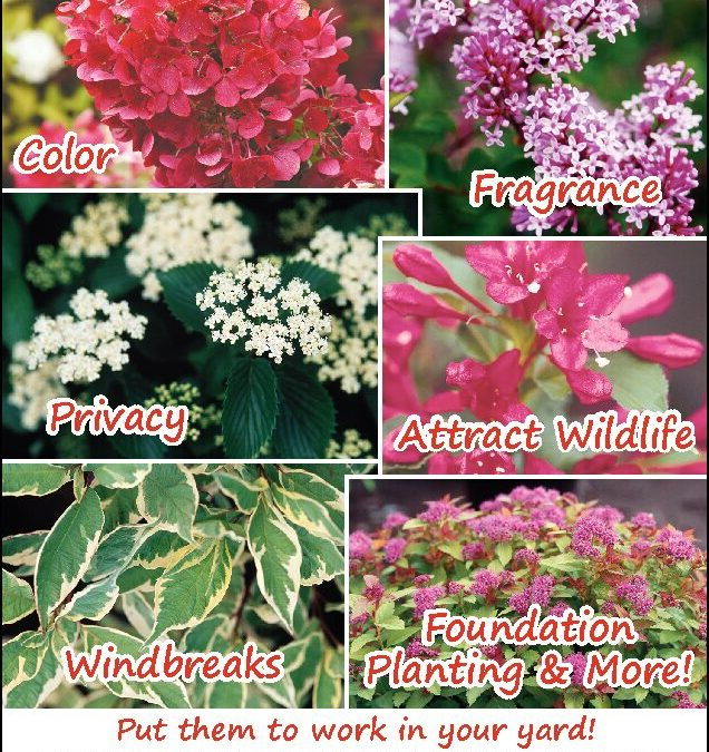 Landsburg 10-13-21 ad 002083807r1-1