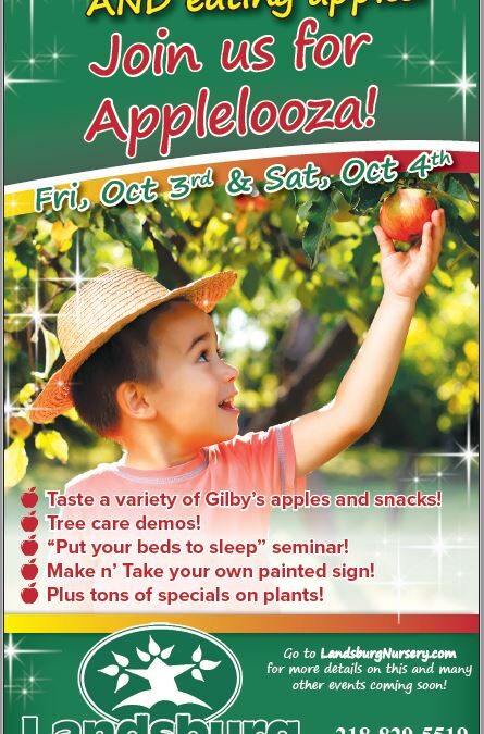 Landsburg 10-3-19 Capture