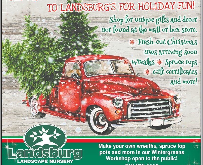 Landsburg 11-18-20 capture