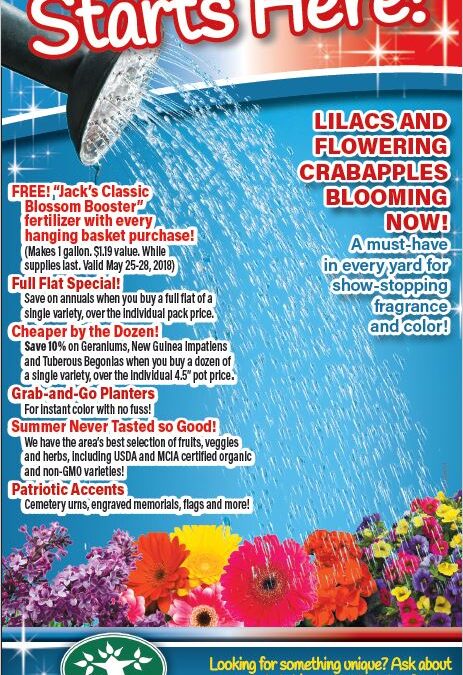 Landsburg 5-24-18 Capture