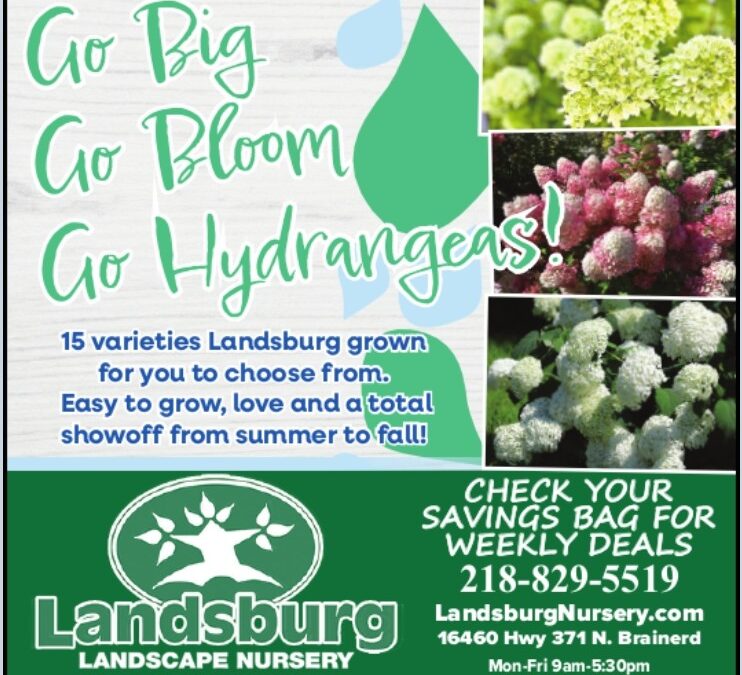 Landsburg 8.13.25