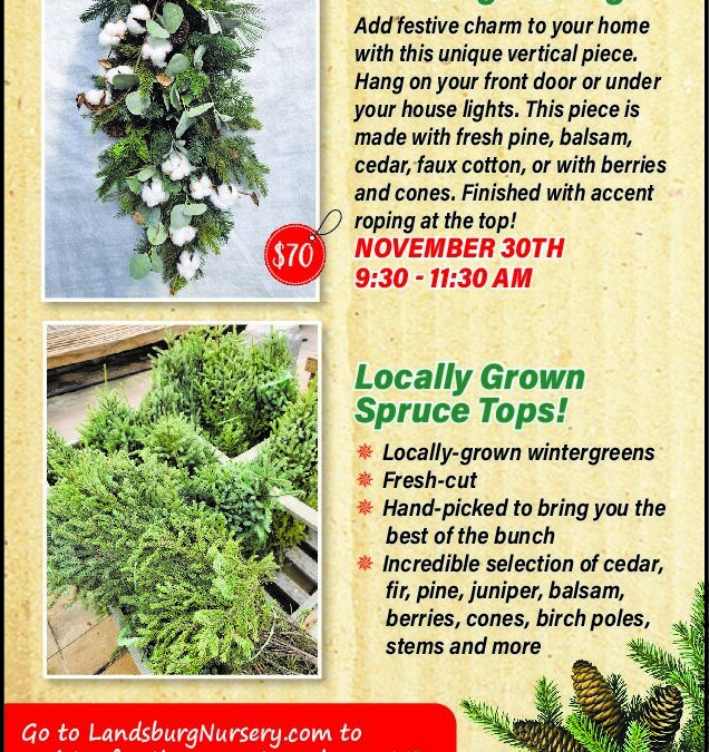 Landsburg Ad 11.16.24