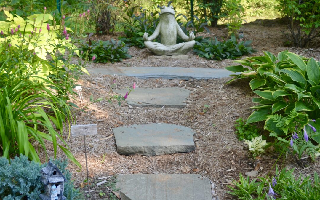 Fairy/miniature garden