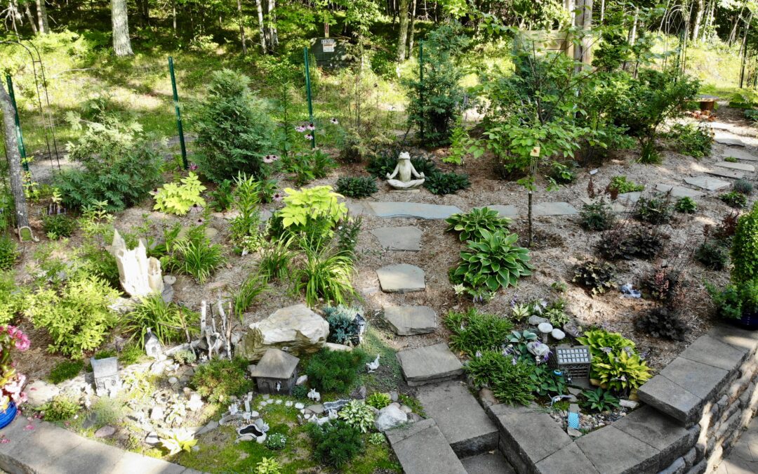 fairy/miniature garden