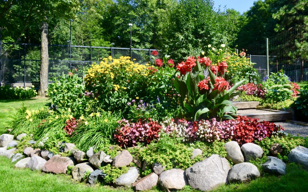 garden with annuals and perennials