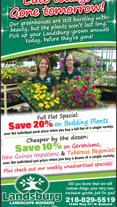 landsburg-ad-6-2-16