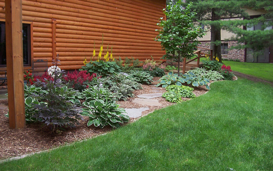 thorson-shady-garden